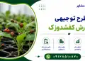 طرح پرورش کفشدوزک