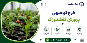 طرح پرورش کفشدوزک
