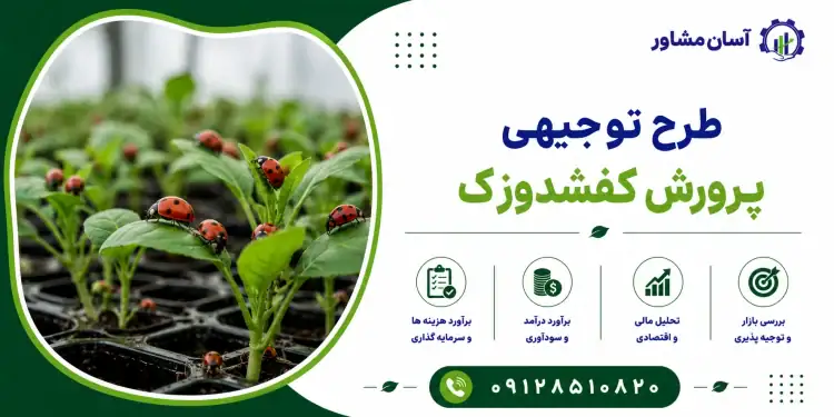 طرح پرورش کفشدوزک