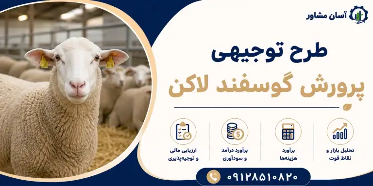 طرح پرورش گوسفند لاکن