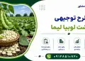 طرح کشت لوبیا لیما