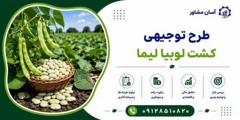 طرح کشت لوبیا لیما