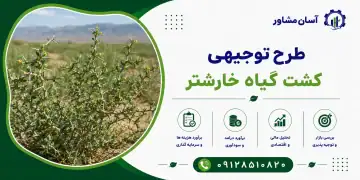 طرح کشت گیاه خارشتر
