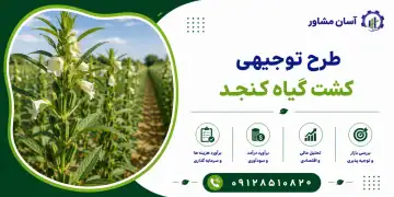 طرح کشت گیاه کنجد
