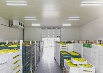 مدیریت مصرف انرژی در سردخانه های مواد غذایی