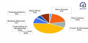 بررسی بازار داخلی و خارجی