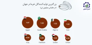 بررسی بازار داخلی و خارجی