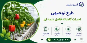 طرح احداث گلخانه فلفل دلمه ای