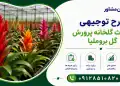 طرح احداث گلخانه پرورش گل بروملیا
