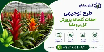 طرح احداث گلخانه پرورش گل بروملیا