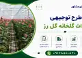 طرح احداث گلخانه گل رز