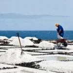 طرح استخراج نمک