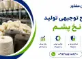 طرح تولید نخ پشم