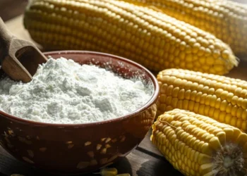 طرح تولید نشاسته ذرت