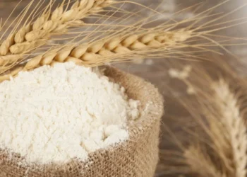 طرح تولید نشاسته گندم