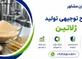 طرح تولید ژلاتین