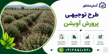 طرح پرورش آویشن