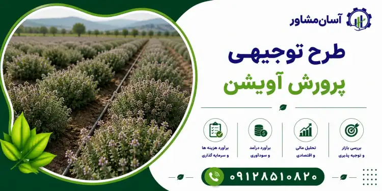 طرح پرورش آویشن