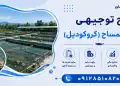 طرح پرورش تمساح (کروکودیل)
