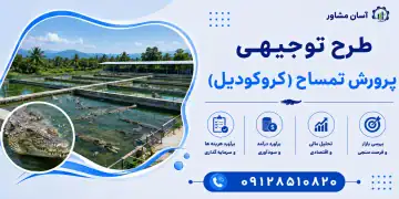 طرح پرورش تمساح (کروکودیل)