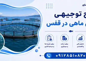 طرح پرورش ماهی در قفس