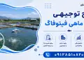 طرح پرورش ماهی فیتوفاگ