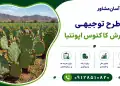 طرح پرورش کاکتوس اپونتیا