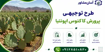 طرح پرورش کاکتوس اپونتیا