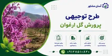 طرح پرورش گل ارغوان