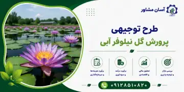 طرح پرورش گل نیلوفر آبی