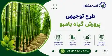 طرح پرورش گیاه بامبو