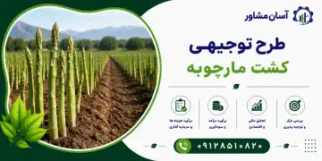 طرح کشت مارچوبه