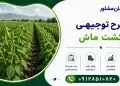 طرح کشت ماش