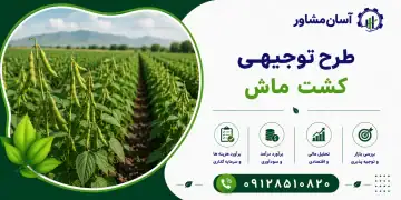 طرح کشت ماش