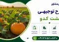 طرح کشت کدو