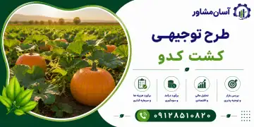 طرح کشت کدو