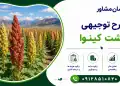 طرح کشت کینوا