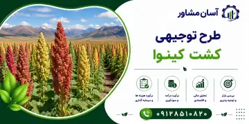 طرح کشت کینوا