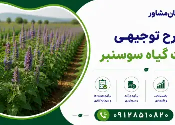طرح کشت گیاه سوسنبر