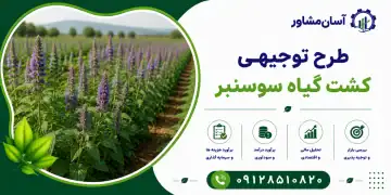 طرح کشت گیاه سوسنبر
