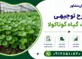 طرح کشت گیاه گوتاکولا