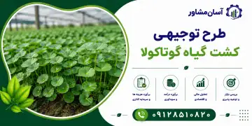 طرح کشت گیاه گوتاکولا