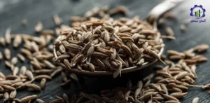 بررسی تجهیزات و تأسیسات احداث فارم کشت زیره سبز