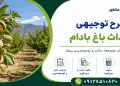 طرح احداث باغ بادام