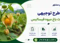 طرح احداث باغ میوه فیسالیس