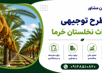 طرح احداث نخلستان خرما