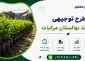 طرح احداث نهالستان مرکبات