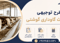طرح احداث گاوداری گوشتی
