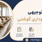 طرح احداث گاوداری گوشتی