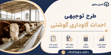 طرح احداث گاوداری گوشتی
